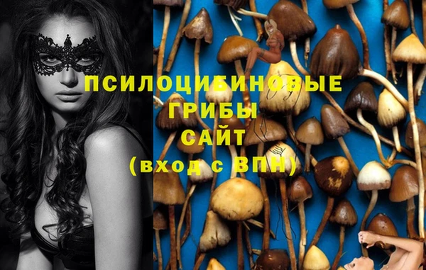 скорость Балахна