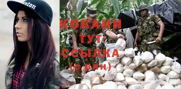Альфа ПВП Бородино