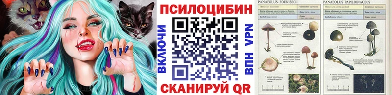 Купить где  Красноармейск  Псилоцибиновые грибы GOLDEN TEACHER 
